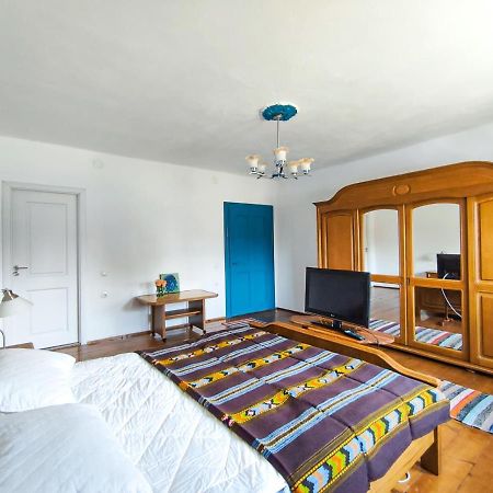 Blue Home Avrig Extérieur photo
