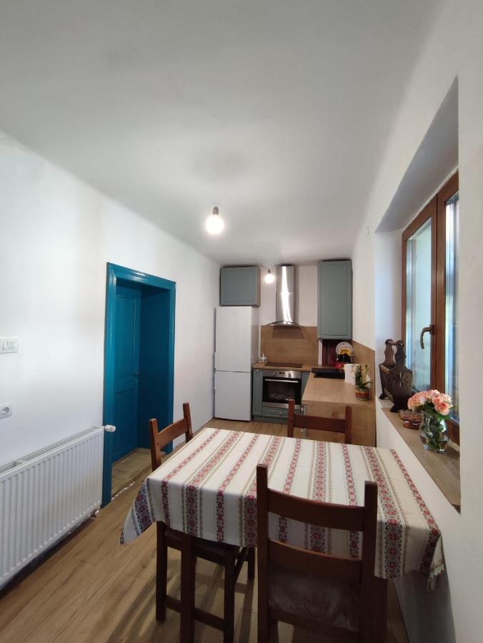 Blue Home Avrig Extérieur photo